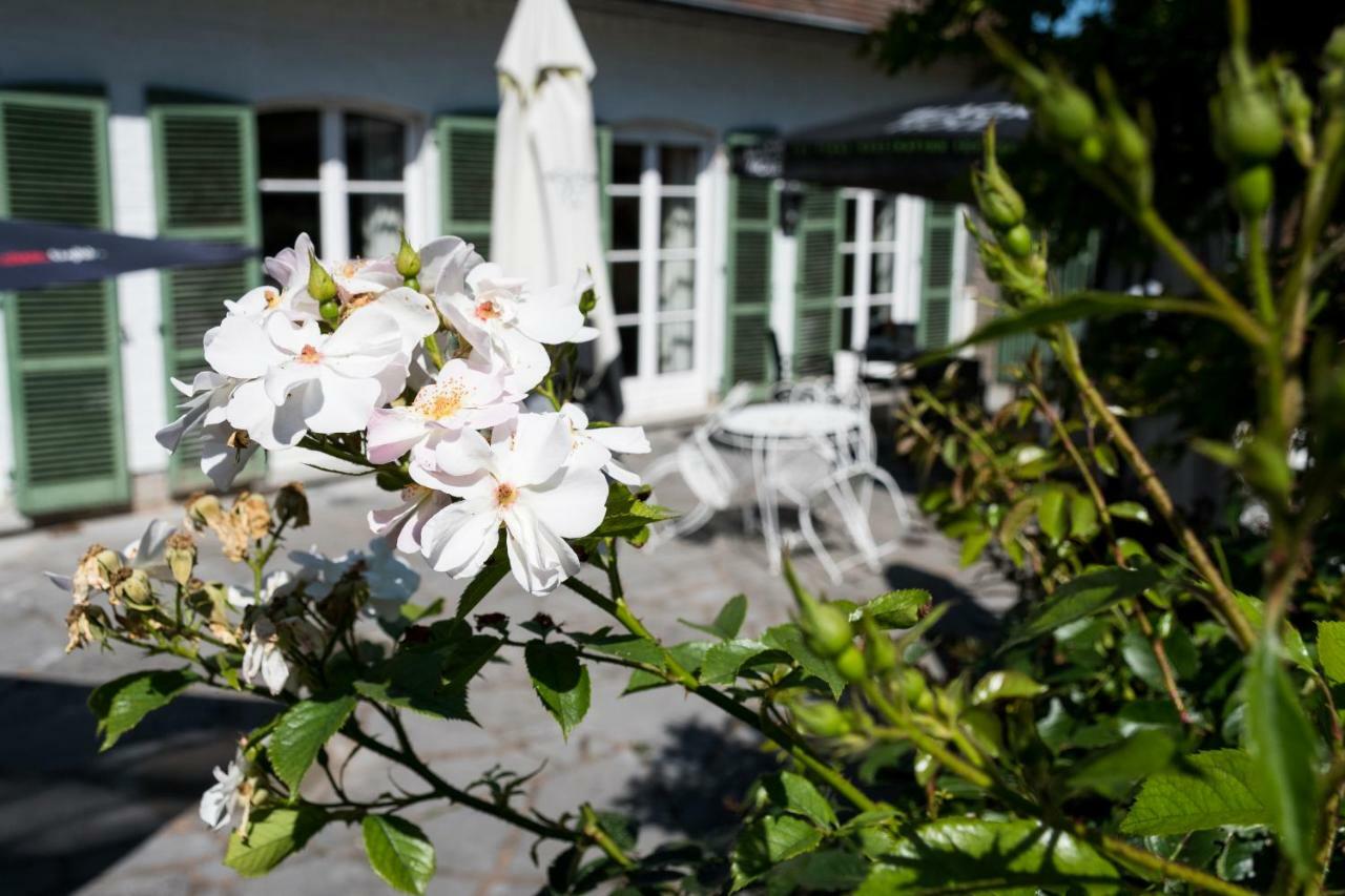 B&B El Tyu Écaussinnes-dʼEnghien Eksteriør billede